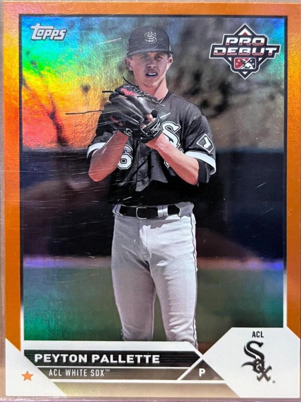 Peyton Pallette [Orange] #PD-6