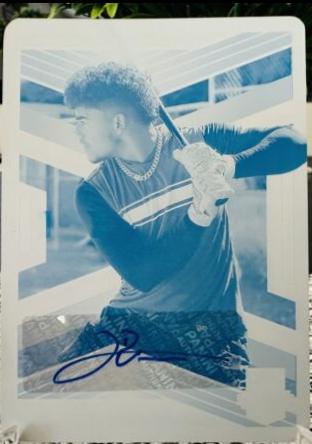 Leo De Vries [Printing Plate] #76