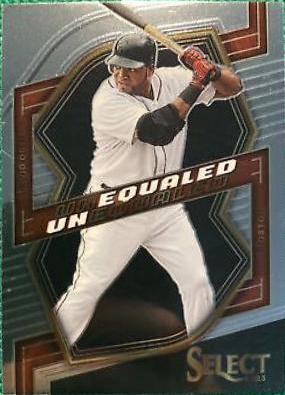 David Ortiz #UN9