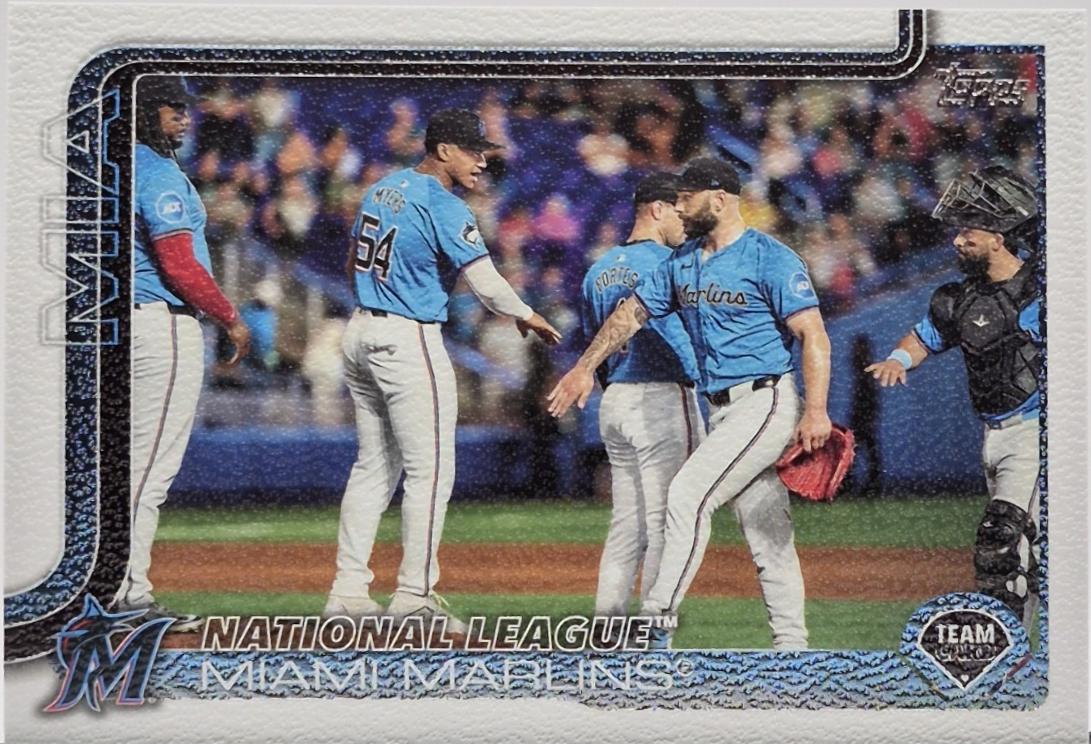Miami Marlins [Canvas] #340