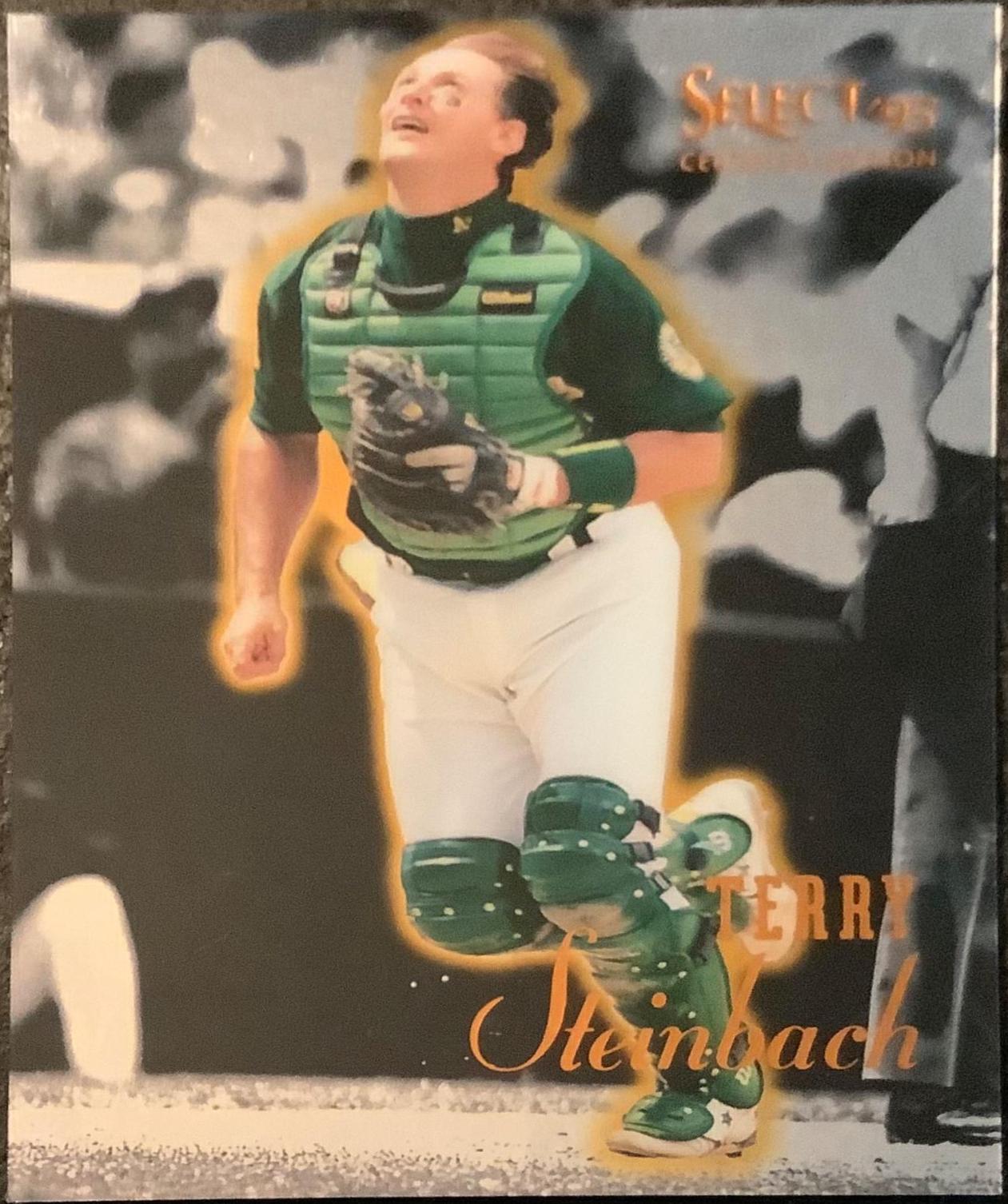 Terry Steinbach [Mirror Gold] #3
