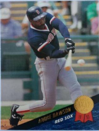 Andre Dawson #310