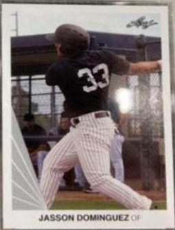 Jasson Dominguez #5