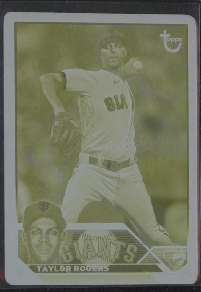 Taylor Rogers [Printing Plates] #US280