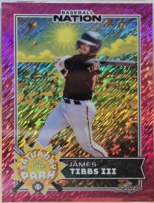 James Tibbs III [Shimmer Pink] #SB-19