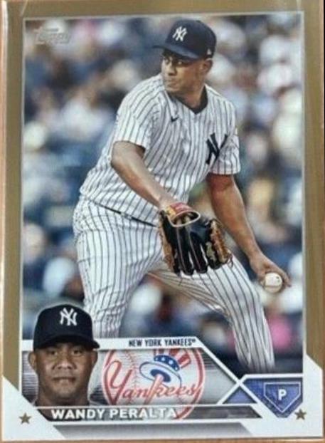 Wandy Peralta [Gold] #US270