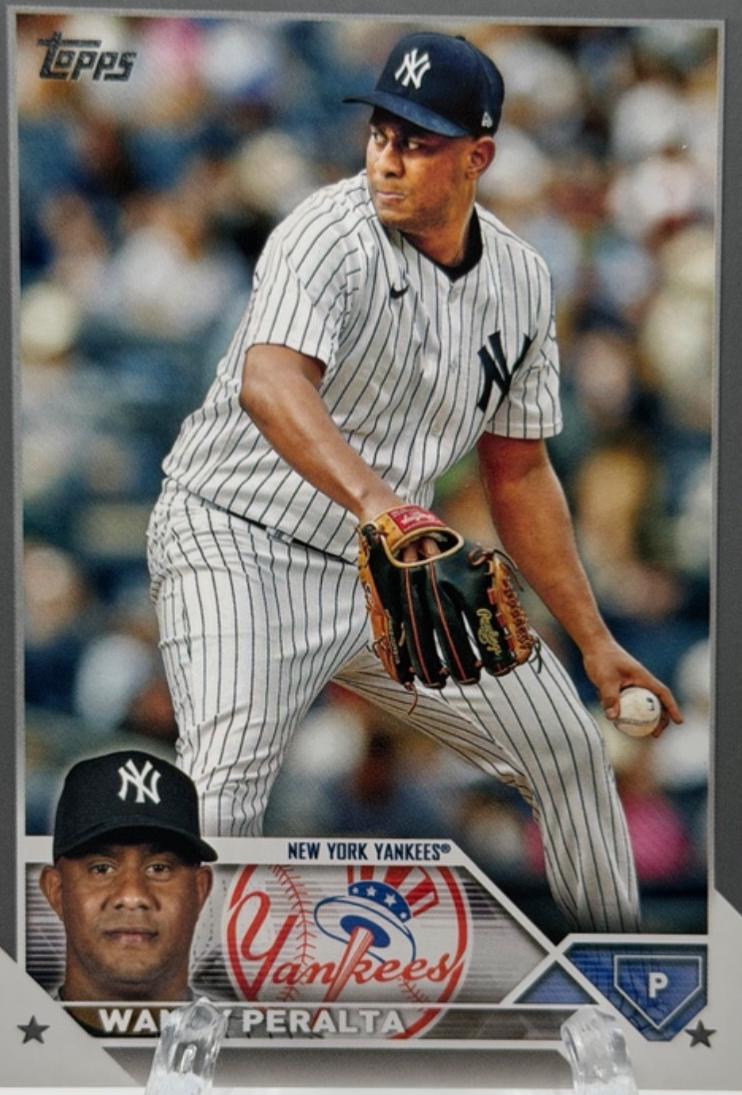 Wandy Peralta [Platinum] #US270