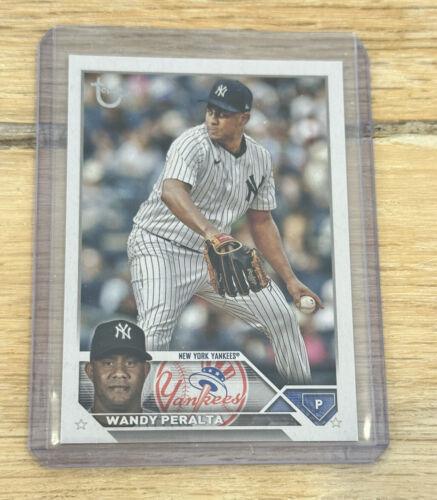 Wandy Peralta [Vintage Stock] #US270