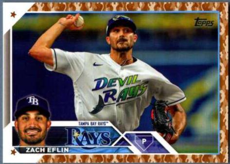 Zach Eflin [Memorial Day Camo] #US254