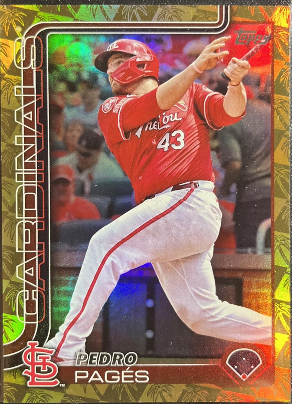 Pedro Pages [Spring Training Gold] #252
