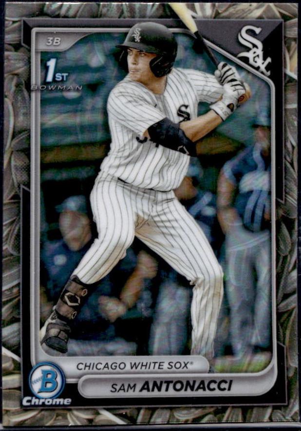 Sam Antonacci [Sunflower Seeds] #BDC-158