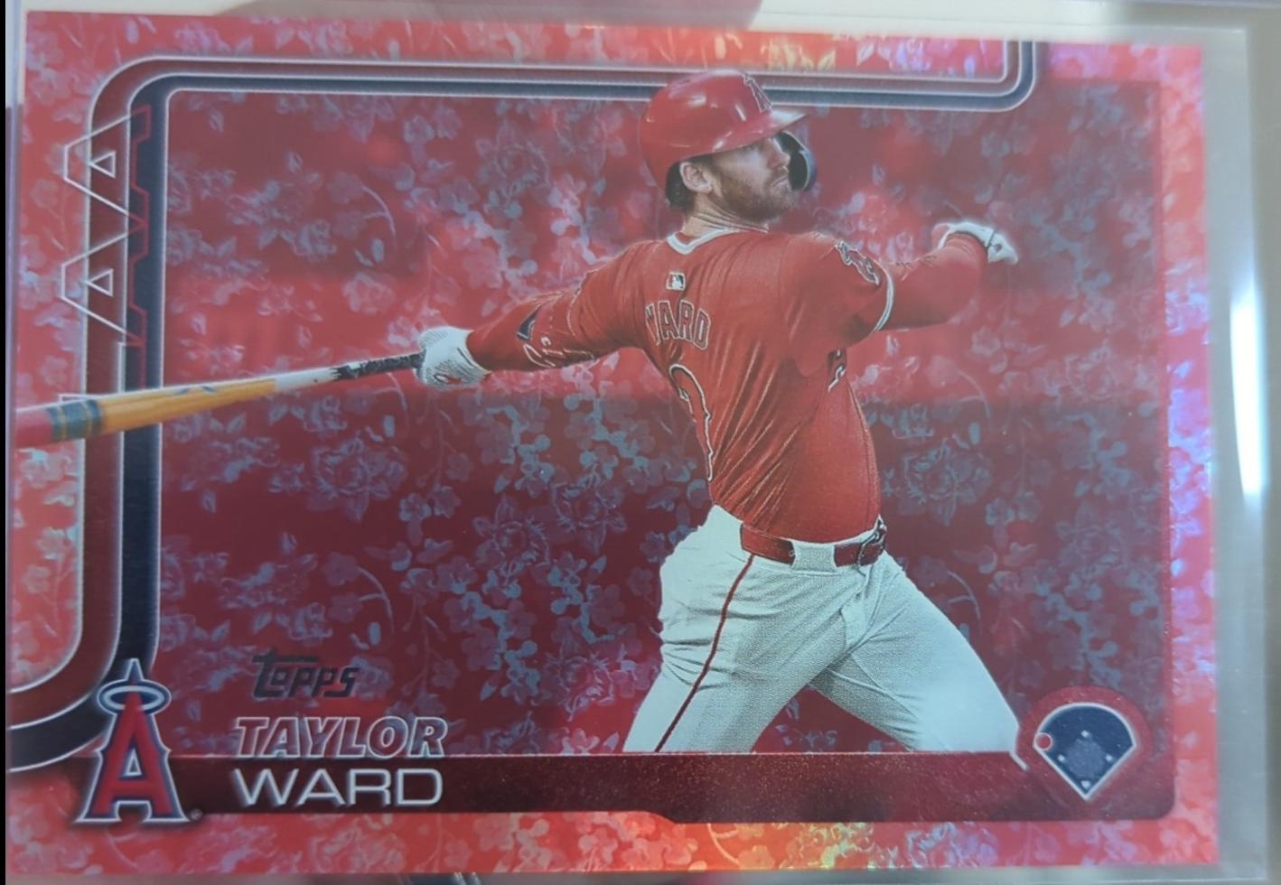 Taylor Ward [Flowers] #209