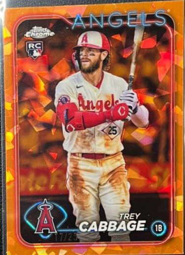Trey Cabbage [Orange] #321