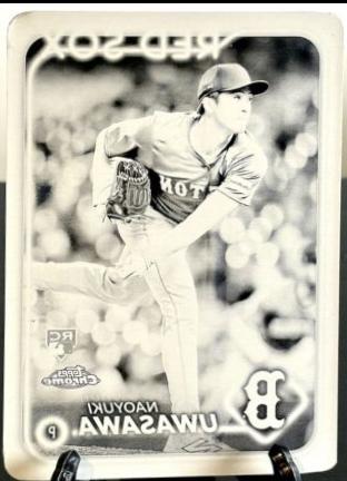 Naoyuki Uwasawa [Printing Plate] #USC9