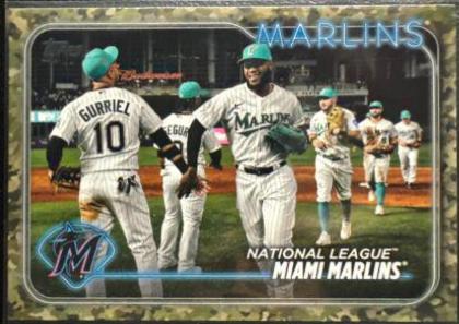 Miami Marlins [Memorial Day Camo] #252