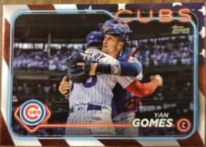 Yan Gomes [Independence Day] #581