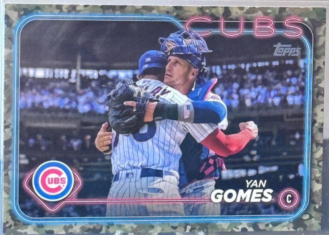 Yan Gomes [Memorial Day Camo] #581