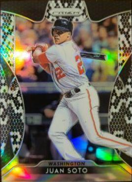 Juan Soto [Snakeskin Prizm] #146