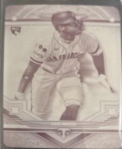 Luis Matos [Printing Plate] #19