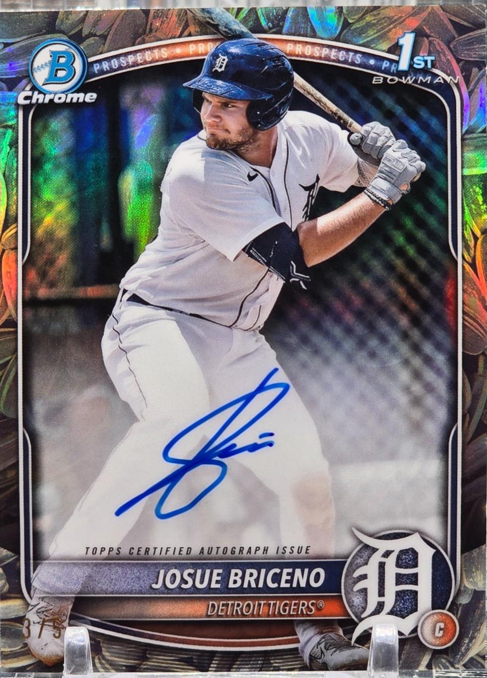 Josue Briceno [Sunflower] #CPA-JB