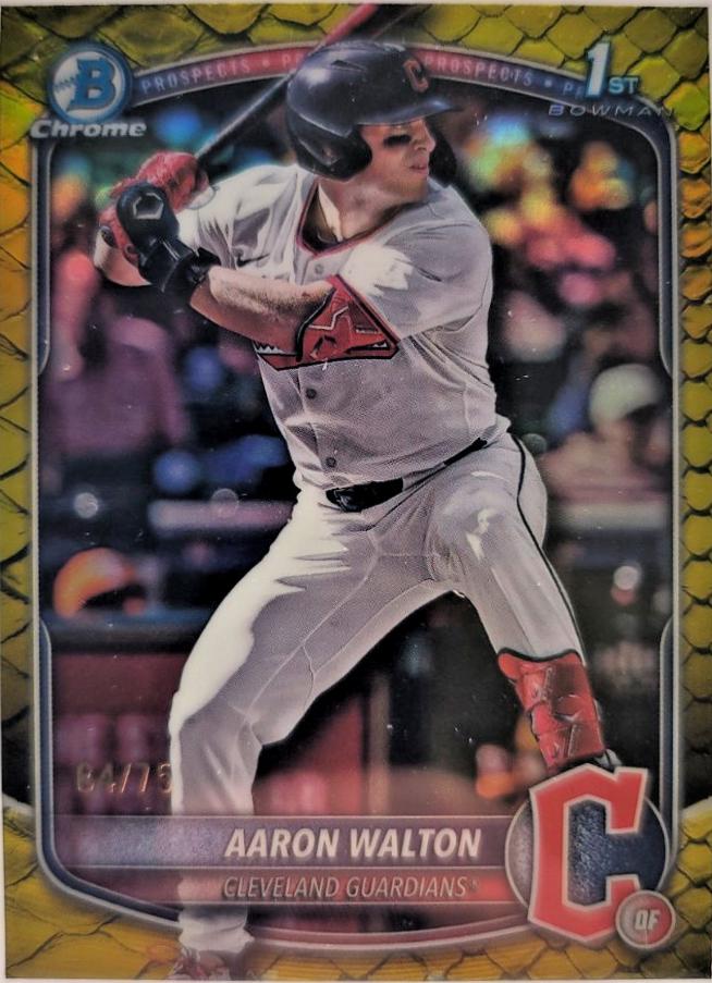 Aaron Walton [Yellow Reptilian Refractor] #BDC-134