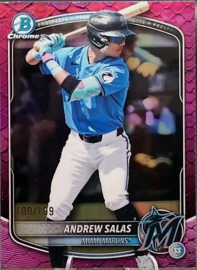 Andrew Salas [Fuchsia Reptilian Refractor] #BDC-34