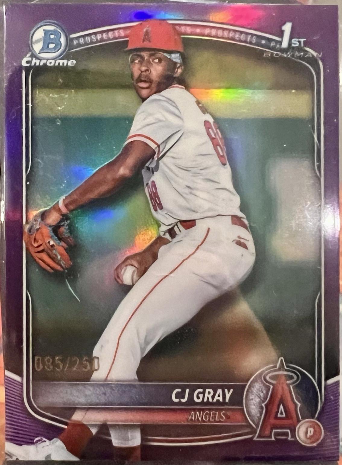 CJ Gray [Purple Geometric] #BDC-197