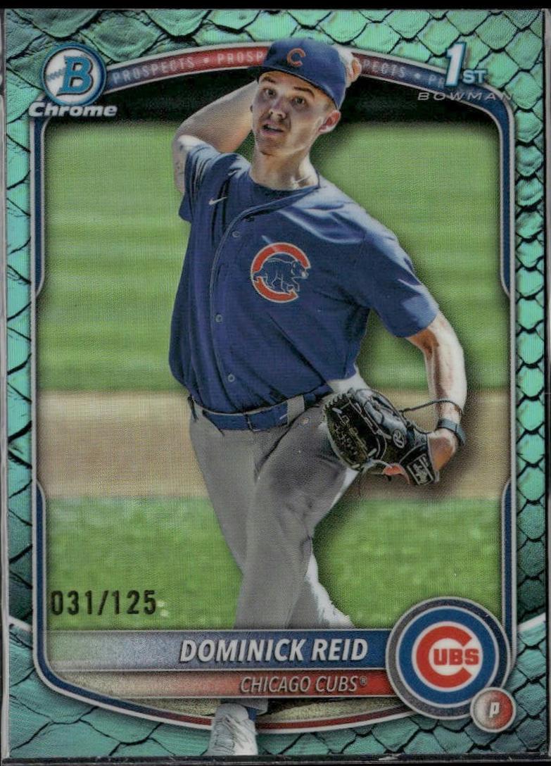 Dominick Reid [Aqua Reptilian Refractor] #BDC-53