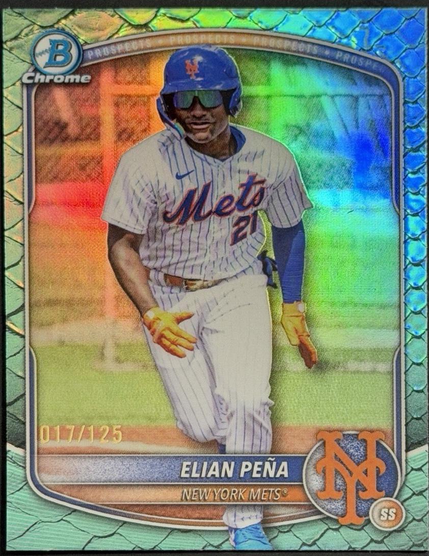 Elian Pena [Aqua Reptilian Refractor] #BDC-115