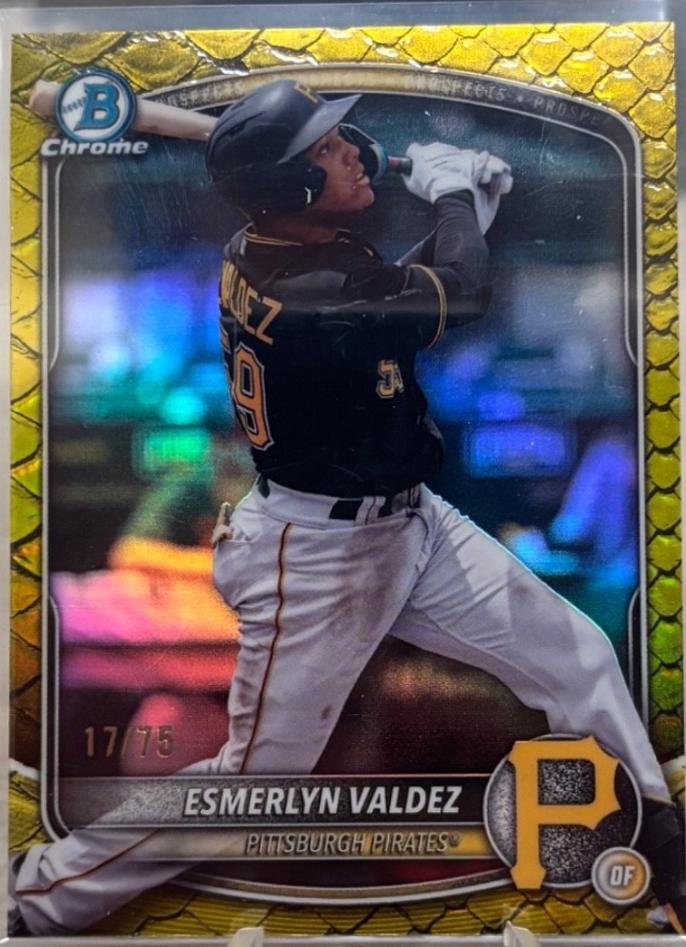 Esmerlyn Valdez [Yellow Reptilian Refractor] #BDC-110