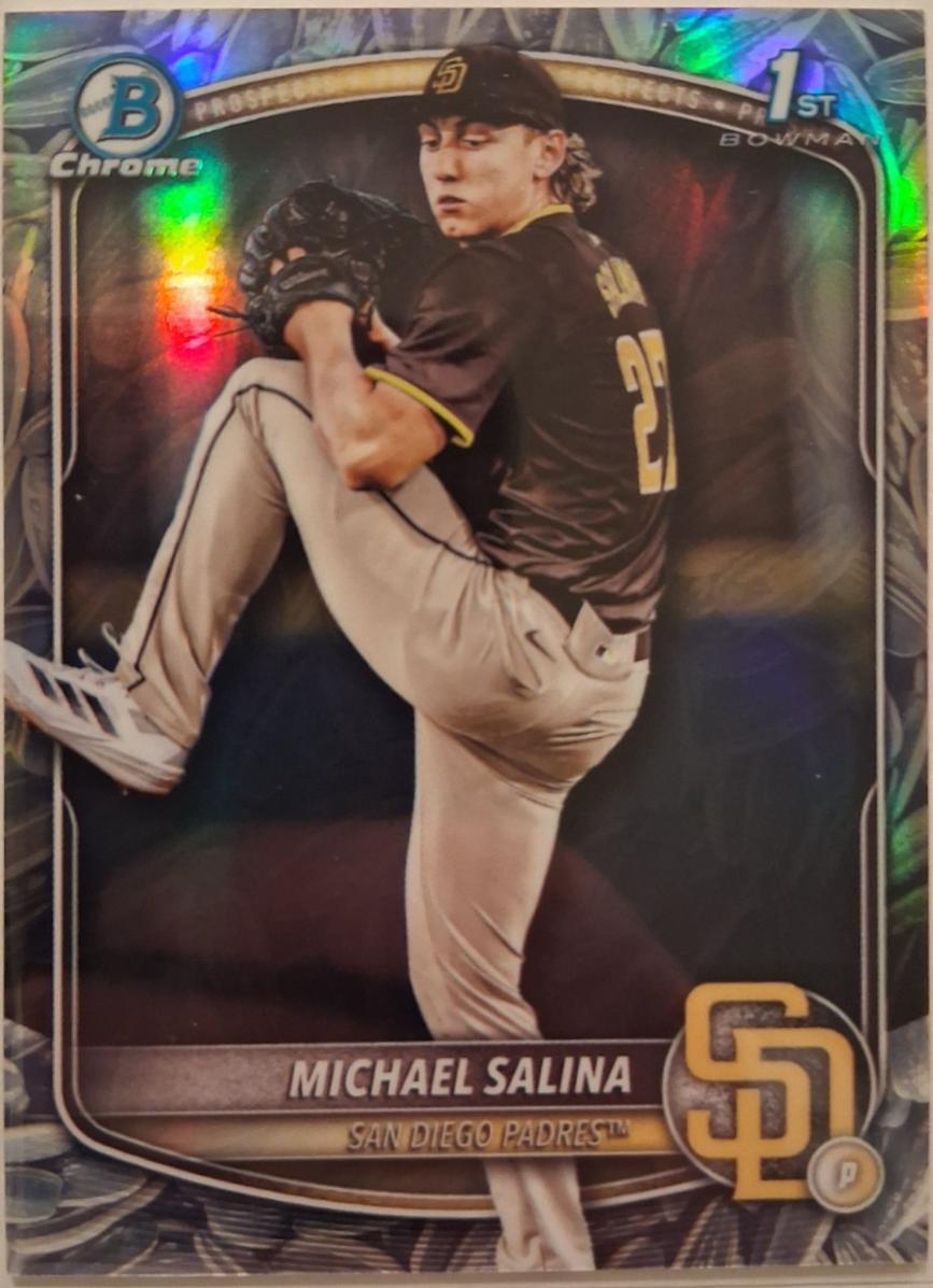 Michael Salina [Sunflower Seeds Refractor] #BDC-76