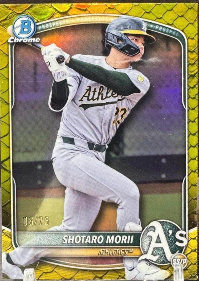 Shotaro Morii [Yellow Reptilian Refractor] #BDC-174