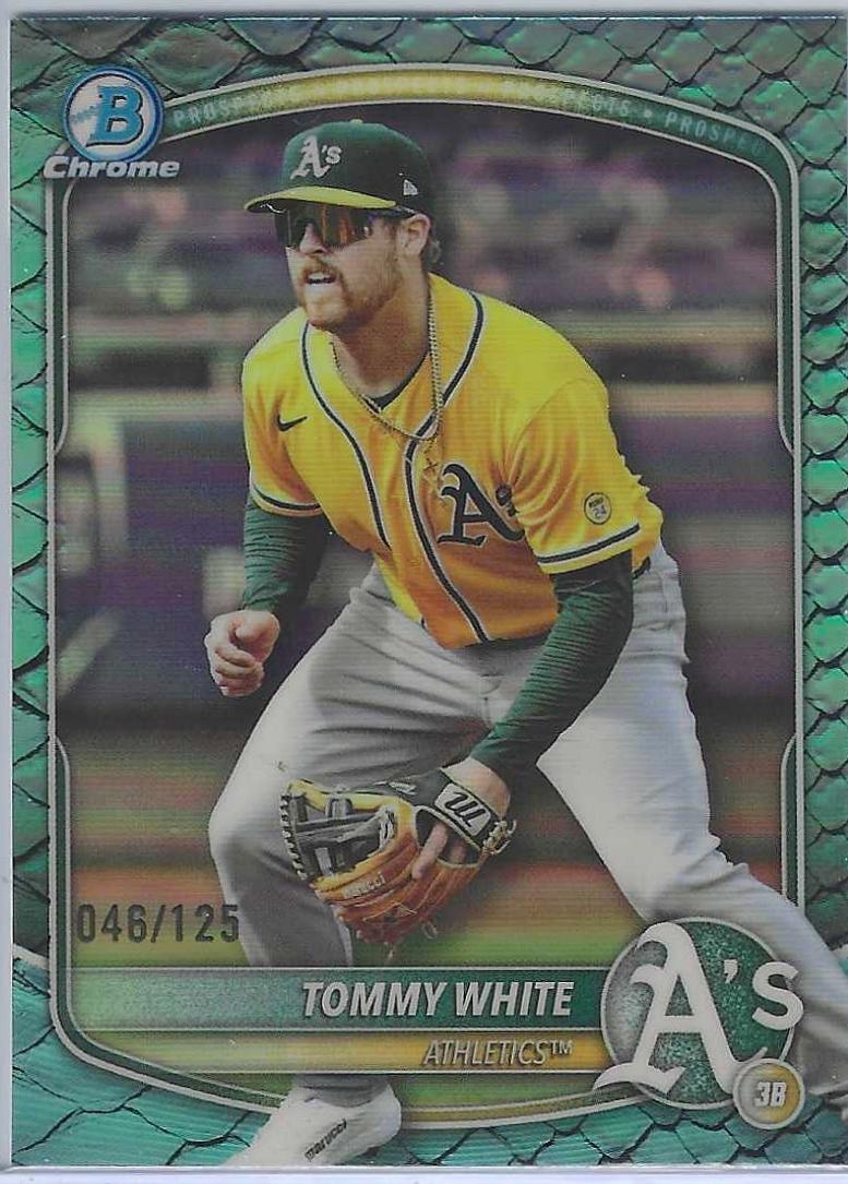 Tommy White [Aqua Reptilian Refractor] #BDC-88