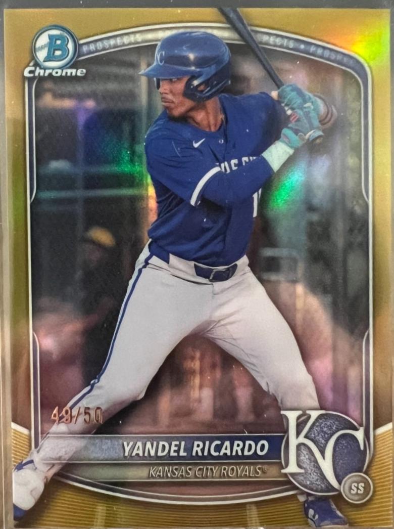 Yandel Ricardo [Gold Refractor] #BDC-31