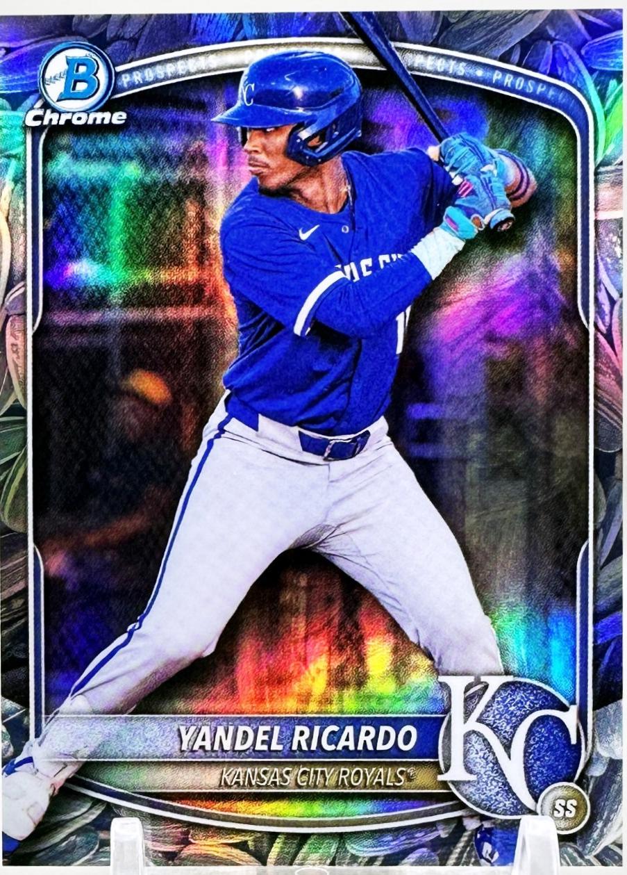 Yandel Ricardo [Sunflower Seeds Refractor] #BDC-31