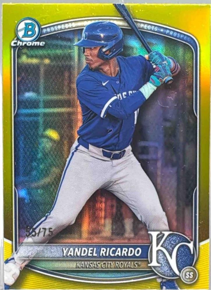 Yandel Ricardo [Yellow Refractor] #BDC-31