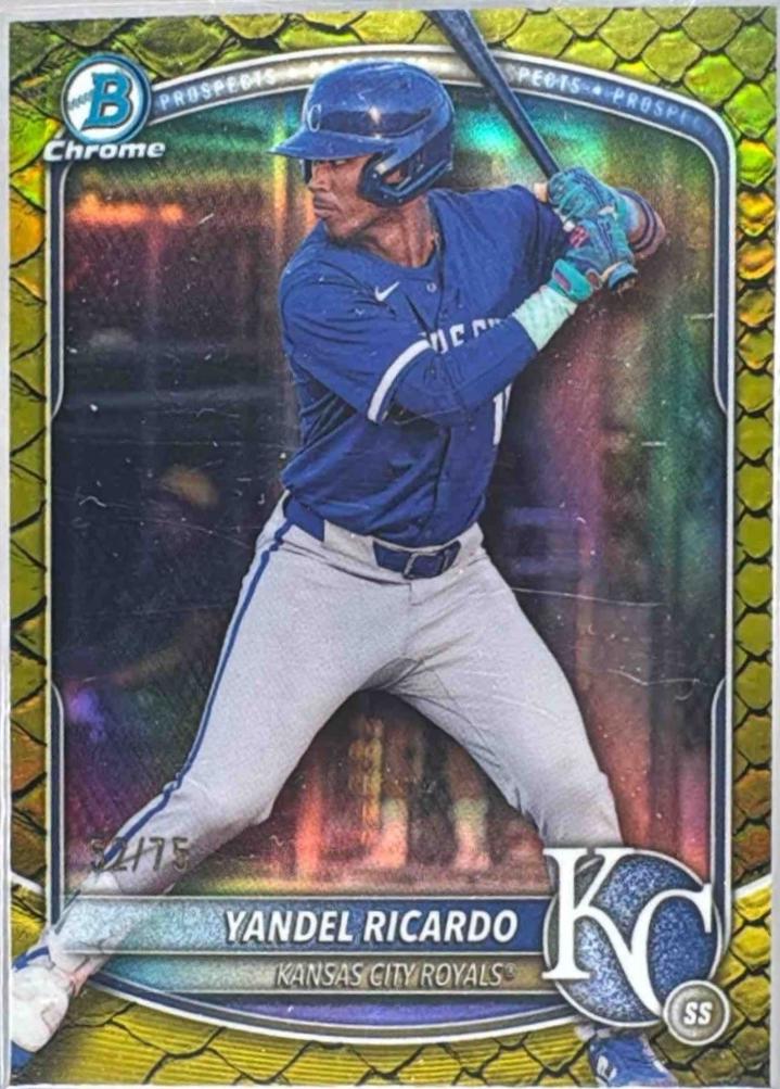 Yandel Ricardo [Yellow Reptilian Refractor] #BDC-31