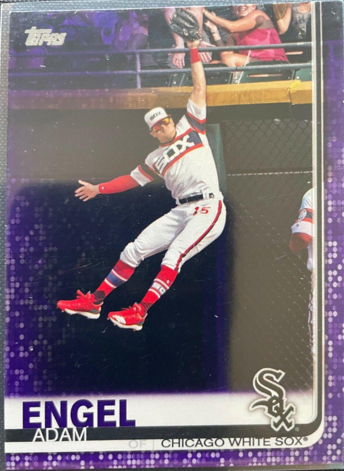 Adam Engel [Purple] #196