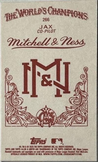 Jax [Mitchell Ness Back Mini] #266