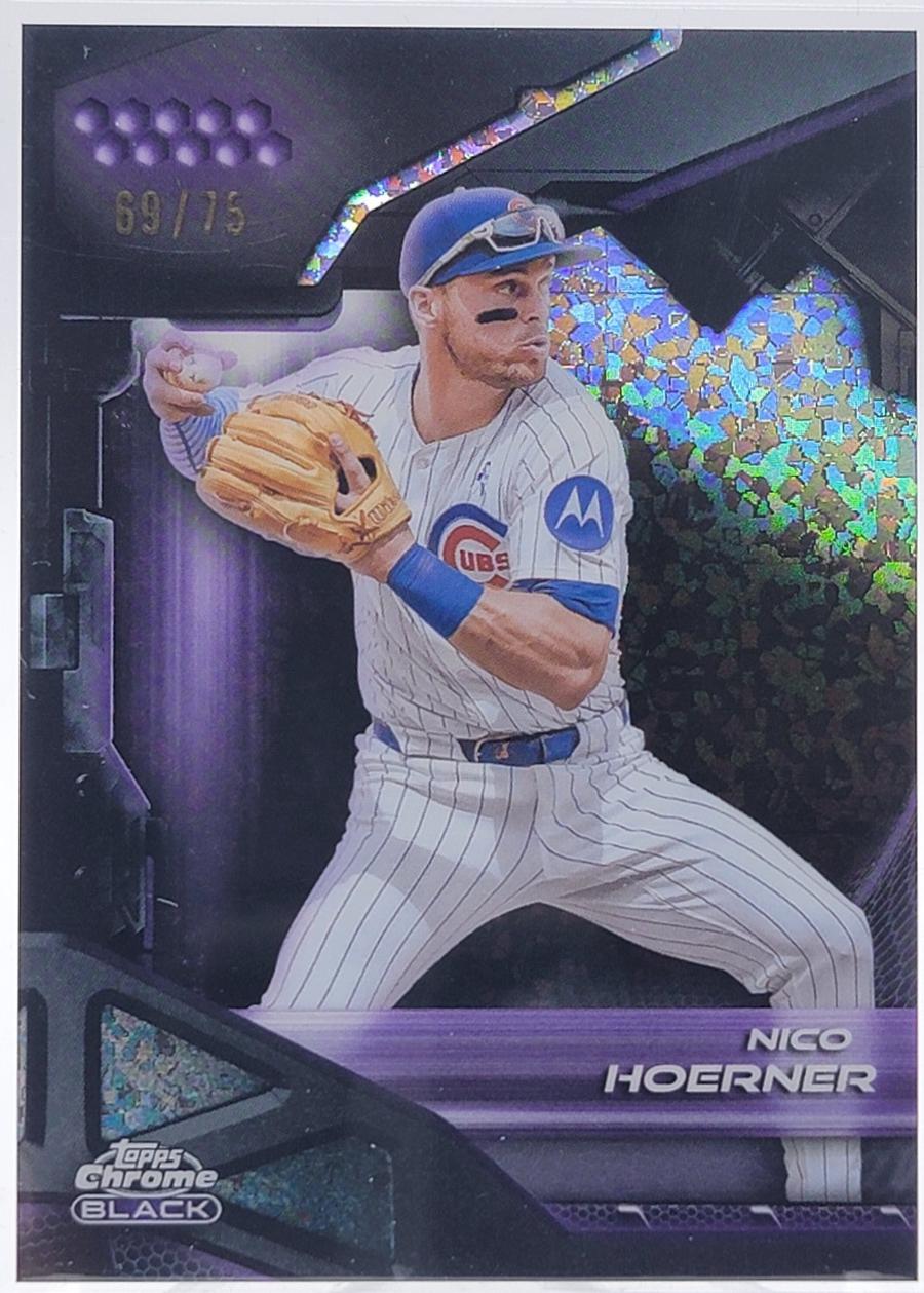 Nico Hoerner [Purple Mini-Diamond Refractor] #175