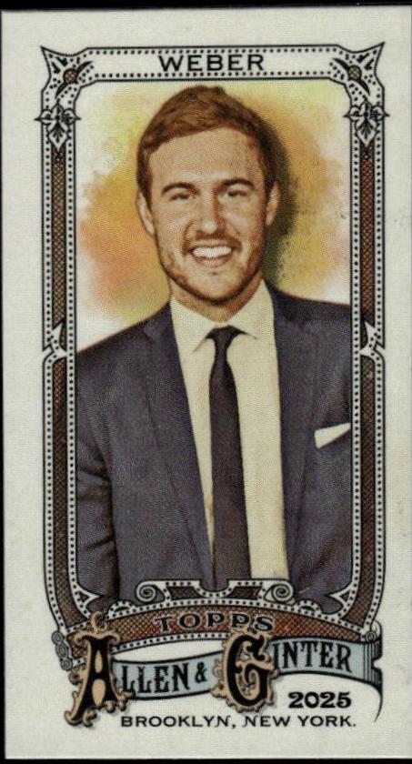 Peter Weber [Mitchell Ness Back Mini] #263