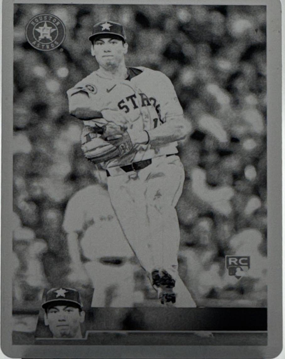 Shay Whitcomb [Printing Plate] #118