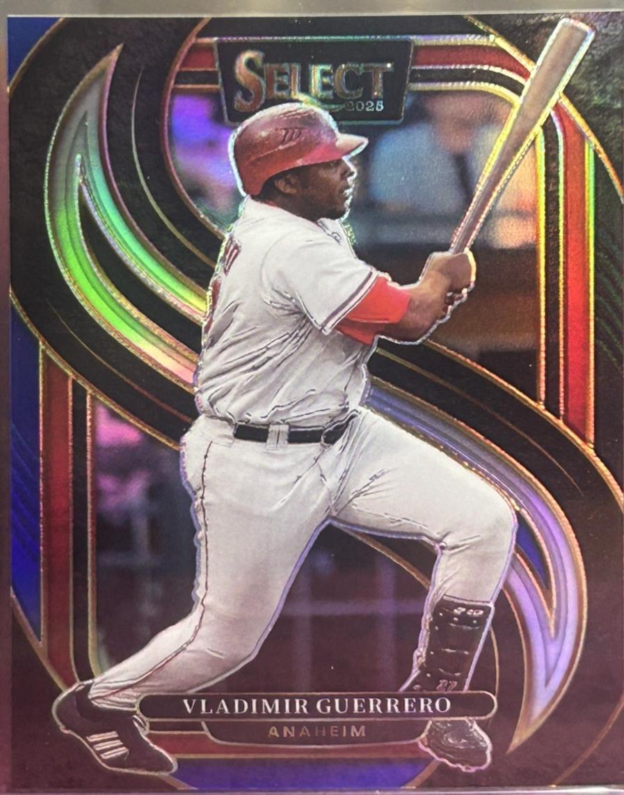 Vladimir Guerrero [Black Blue] #140