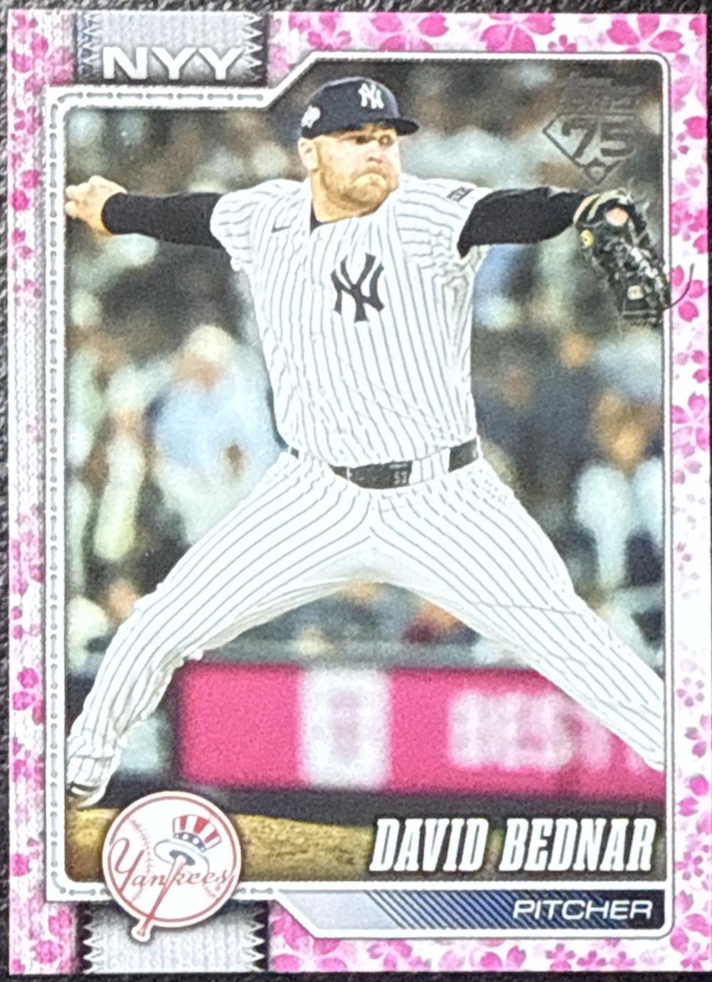 David Bednar [Cherry Blossom] #228