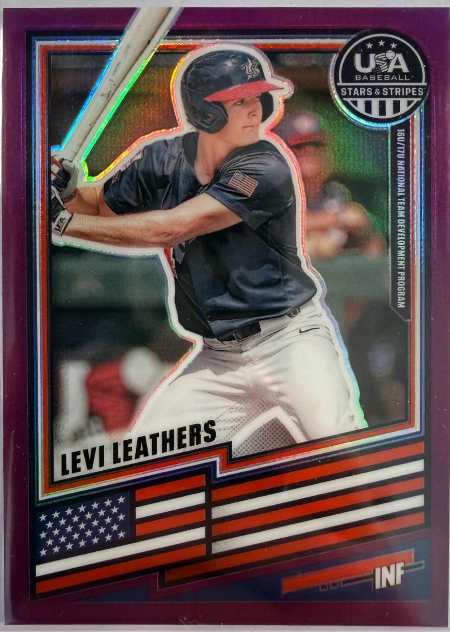 Levi Leathers [Purple] #79