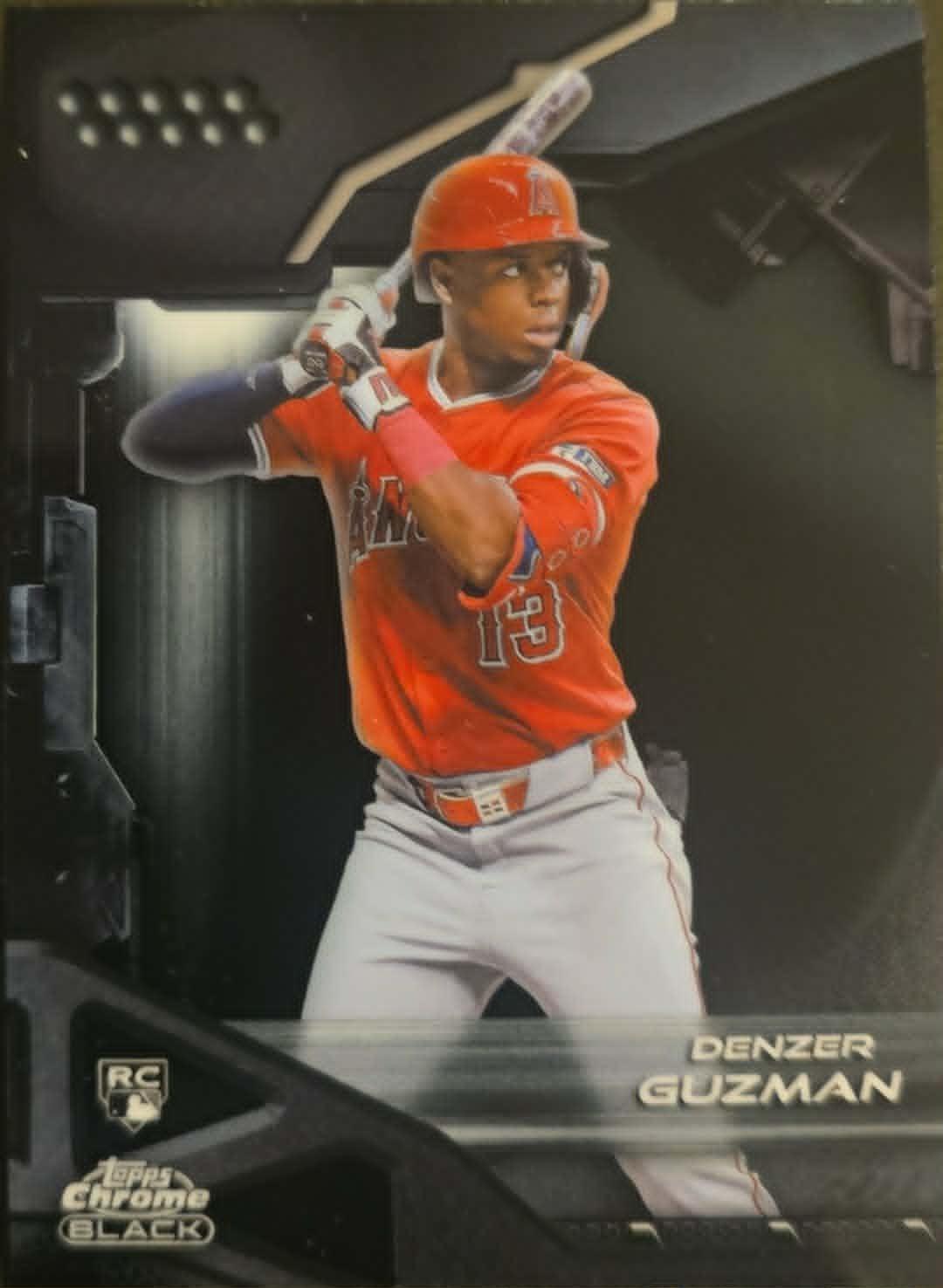 Denzer Guzman #69