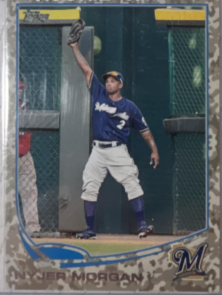 Nyjer Morgan [Camo] #172