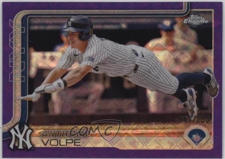 Anthony Volpe [Purple Refractor] #162