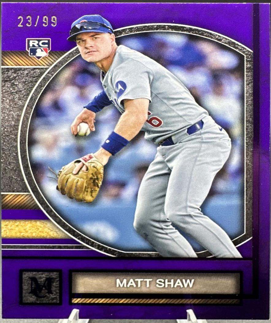 Matt Shaw [Amethyst] #84