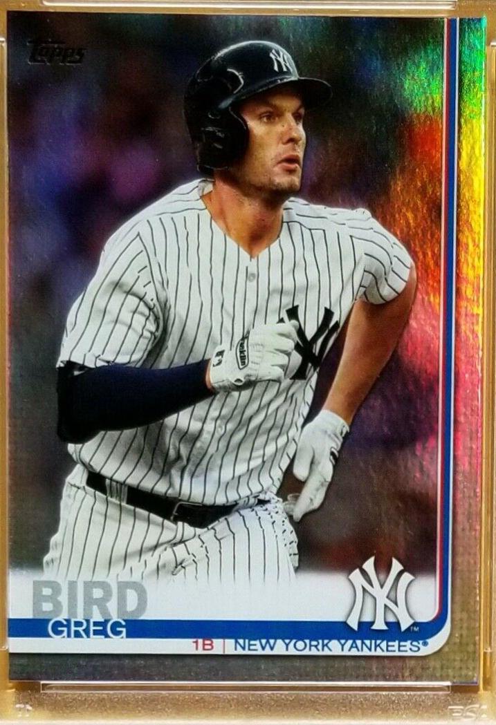 Greg Bird [Rainbow Foil] #653